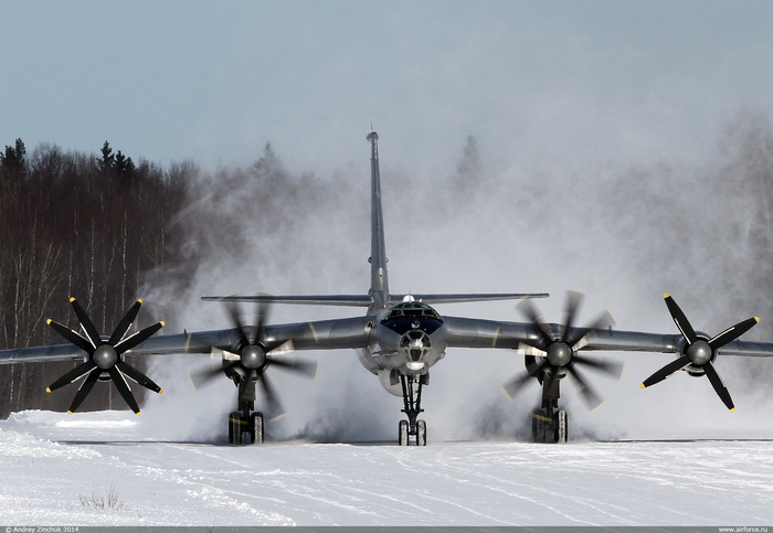 Ту-142  дальний противолодочный самолёт - Ту-142, Самолет, Армия, Россия, Туполев, Авиация, ВМФ, Длиннопост