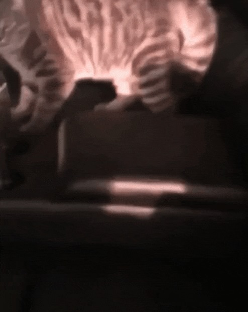 Кот вампир Кот, Вампиры, Гифка, Солнце