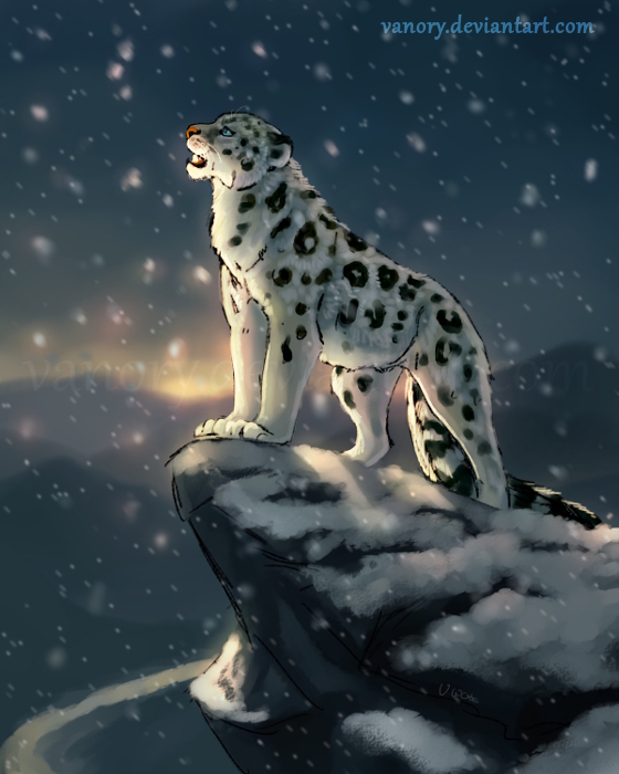 Morning Snow  by Vanory - Art, Winter, Snow Leopard