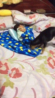    ?    .