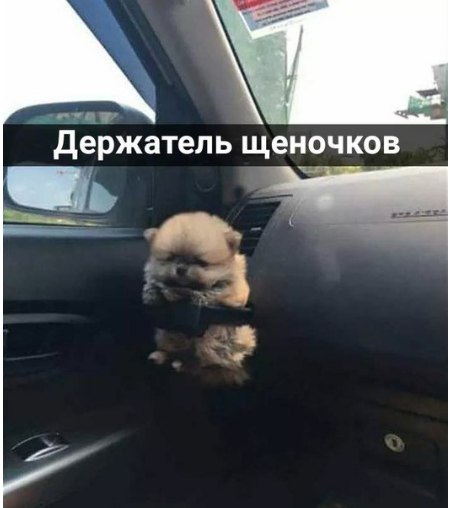 ���� ������ � �����, ����������