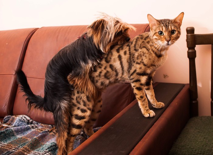 �������. ������