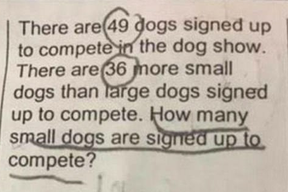 Детская задачка о собаках поставила родителей в тупик. - Домашнее задание, Задача, Как так?, Как?