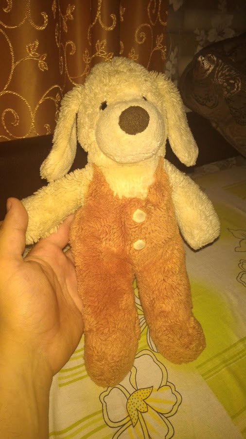 I ask for help in finding a toy - My, Soft toy, Help