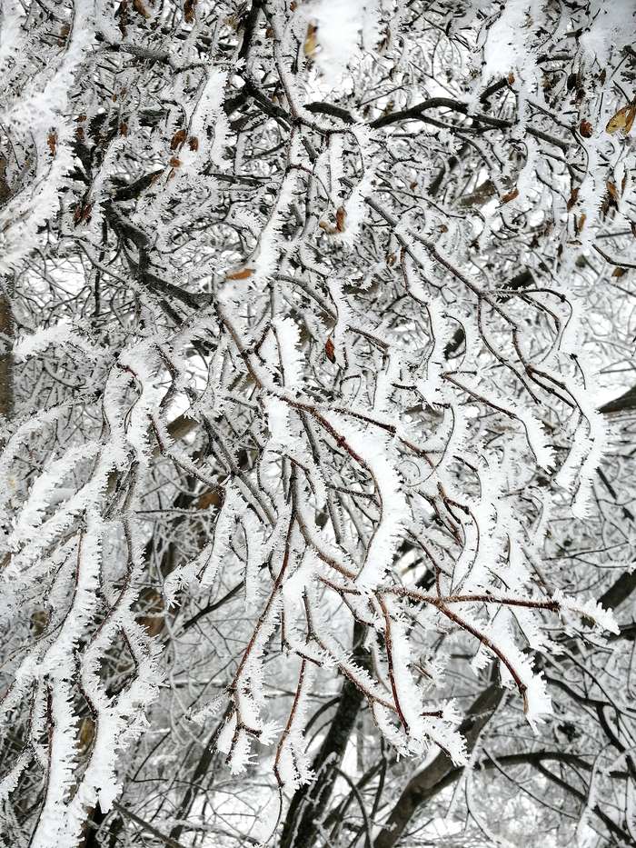 Природа-художник. Зима, Природа, Снег, Длиннопост