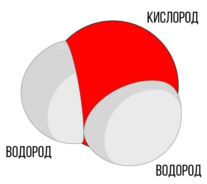 Молекулярная эротика - Молекула, Обнаженка, Не стыдно, Вода, Из сети