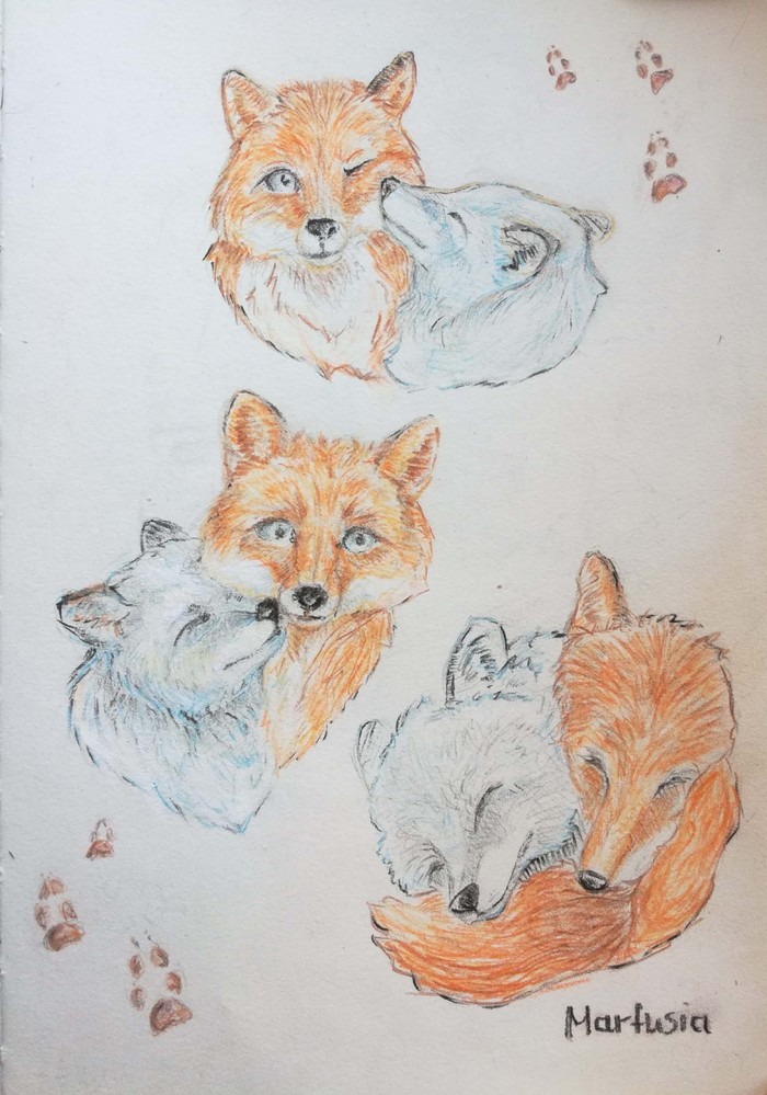 ���-���-���