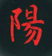 Does anyone know what this symbol means? - Japanese, Xs