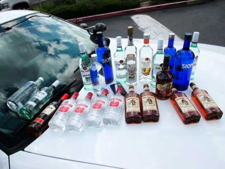 Russian detained at Kazakh-Russian border with 108 liters of vodka and wine - Agronews, Russia, Kazakhstan, The border, Vodka, Alcohol, Detention, Wine