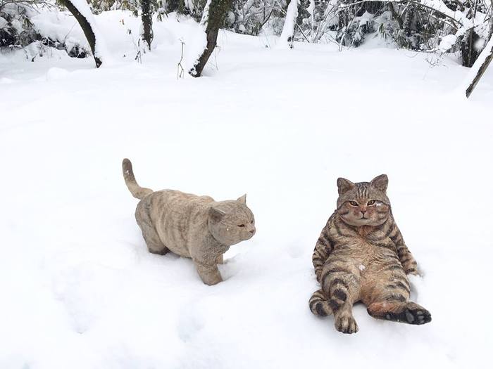 We walked, we walked, our paws were tired - cat, Milota Two Cats, Snow, , Relaxation, Winter