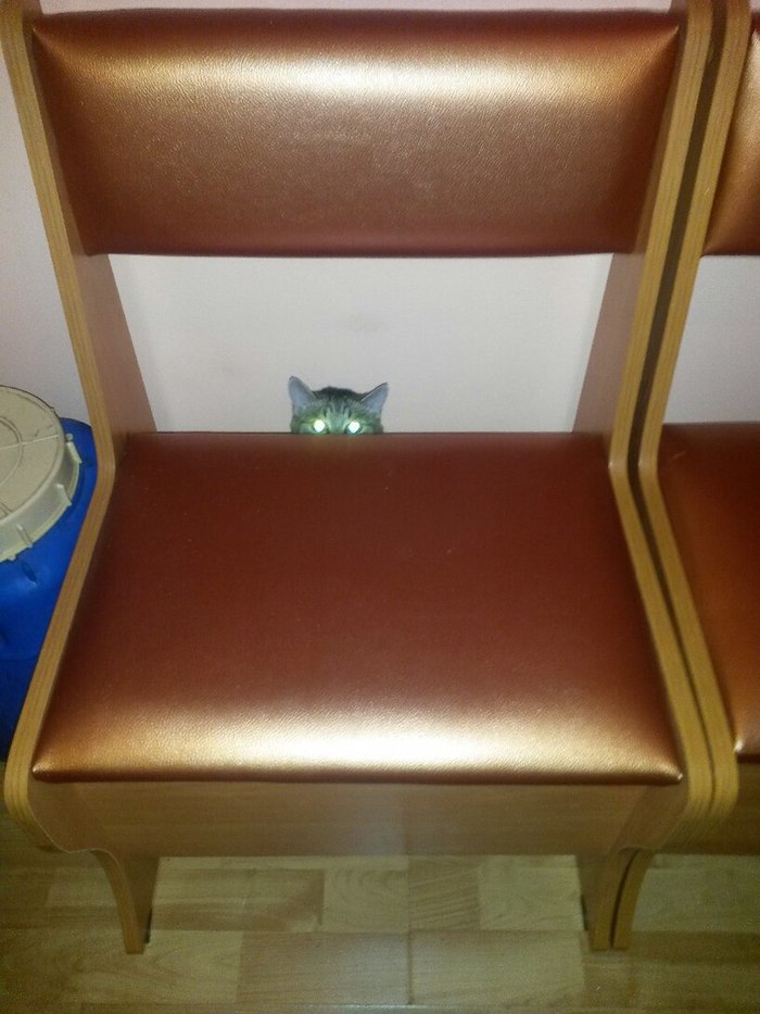  ,      , , 