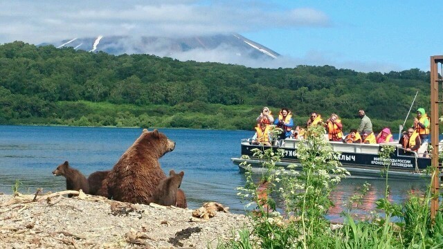 Kamchatka landscapes. - Kamchatka, Landscape, Animals, Longpost