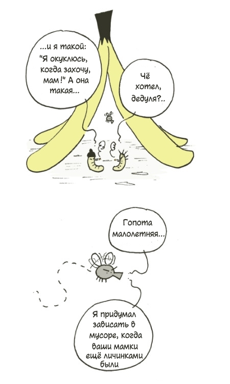 Insect life - Comics, Humor, Funny, Joke, Translation, Insects, Childhood, Memories