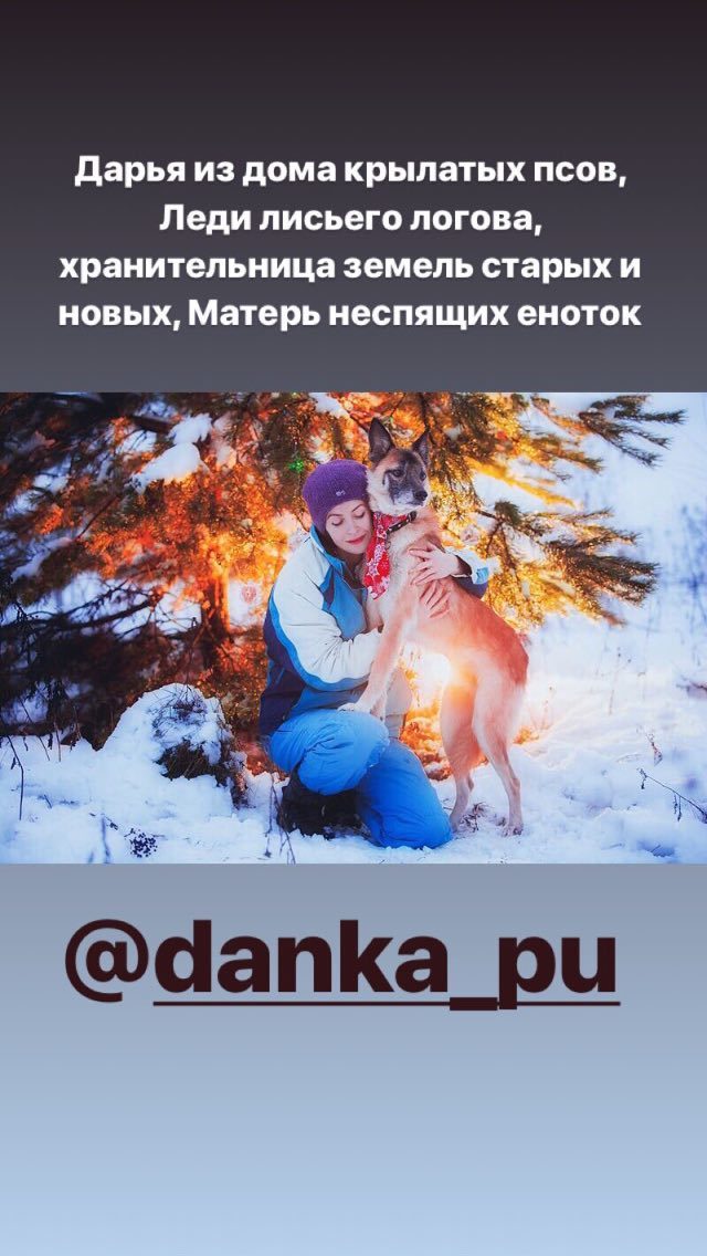   .  " ". Dasha , dogs , foxes, and the company. The Fund "Will live". , , , 