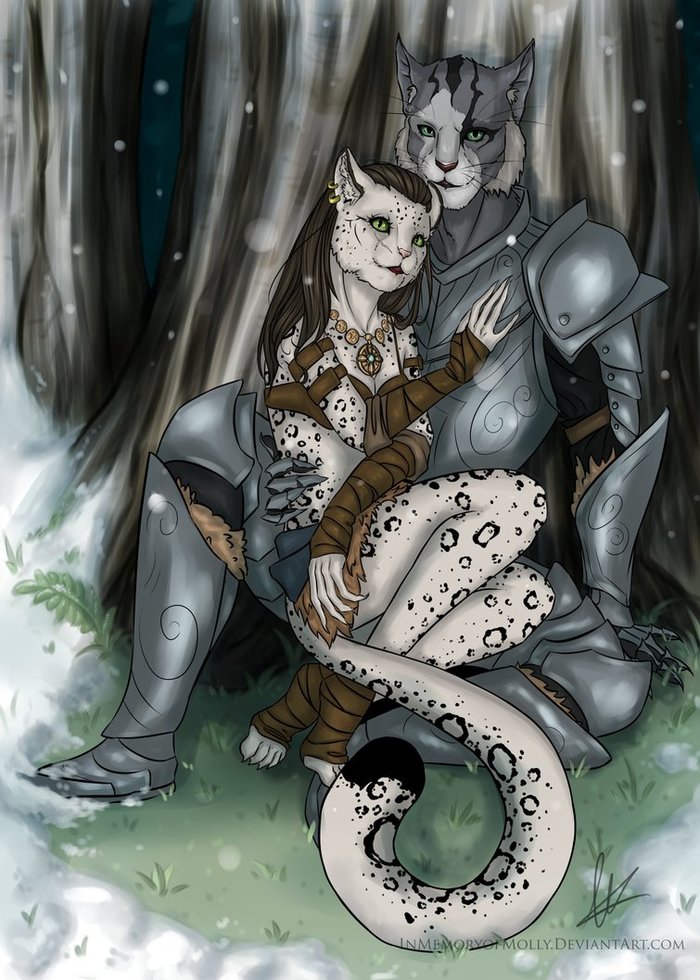 Lady and her knight - Kajit, Khajiit, Art, The elder scrolls