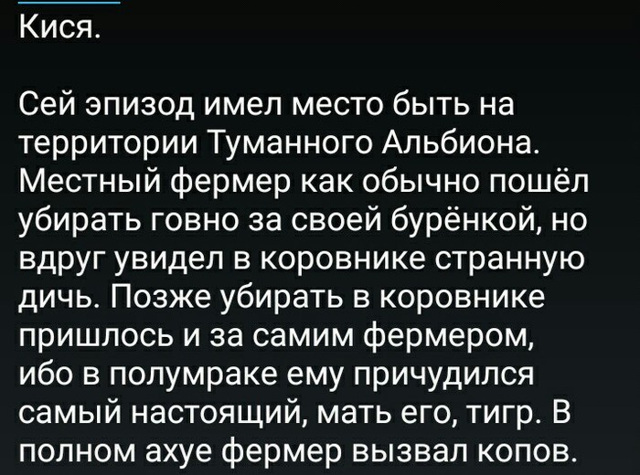 Вк, как обычно, радует (но это не точно). - ВКонтакте, Не мое, Комментарии, Мат, Длиннопост