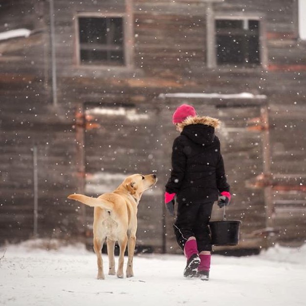 Warm photos from Nebraska - The photo, Children, Pets, Farm, Dog, cat, Cow, Horses, Longpost