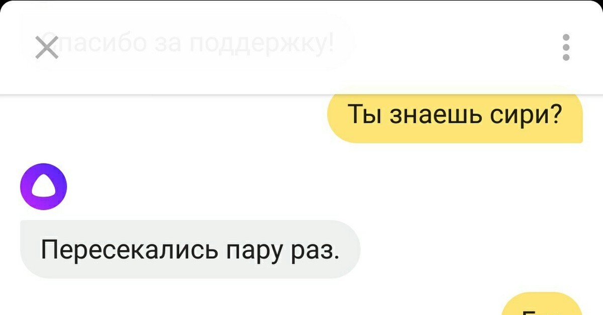 Что умеет мини алиса. Алиса ты умная. А ты Алиса ты умный. Алиса ты знаешь. Алиса ты не умная.