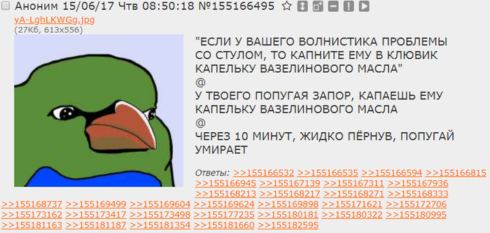 Лечение попугая в домашних условиях