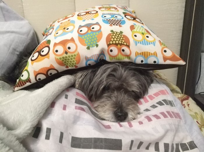 ����� ����