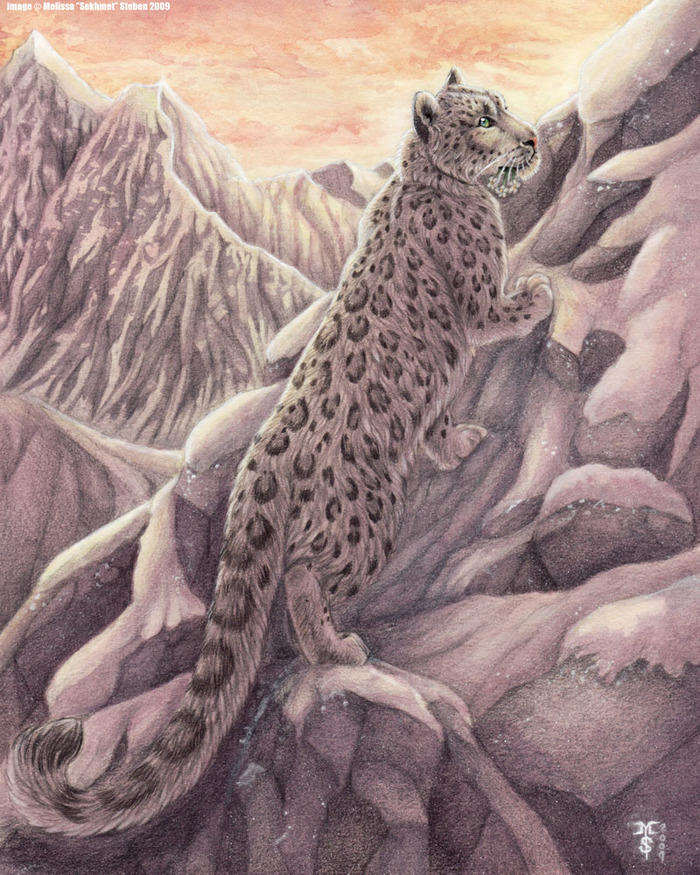 The Morning Journey  by Art-of-Sekhmet - Art, Snow Leopard, The mountains, Winter, cat
