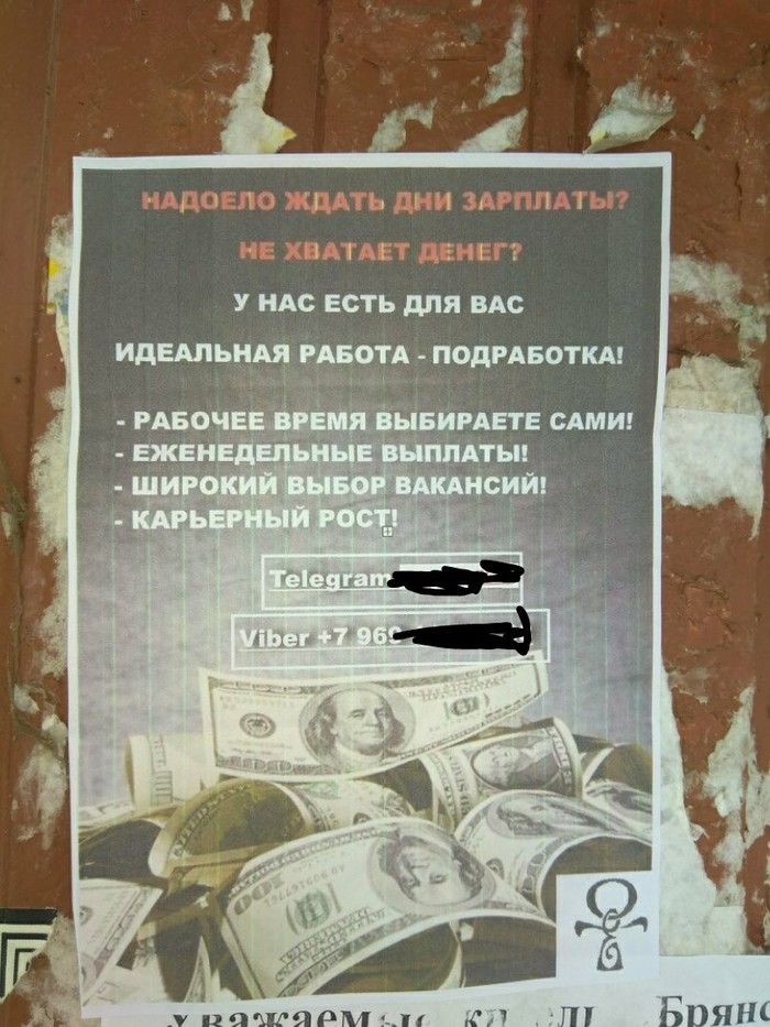 А давайте станем наркодилерами! - Опасность, Наглость, Наркотики, Что делать, Полиция, Законность