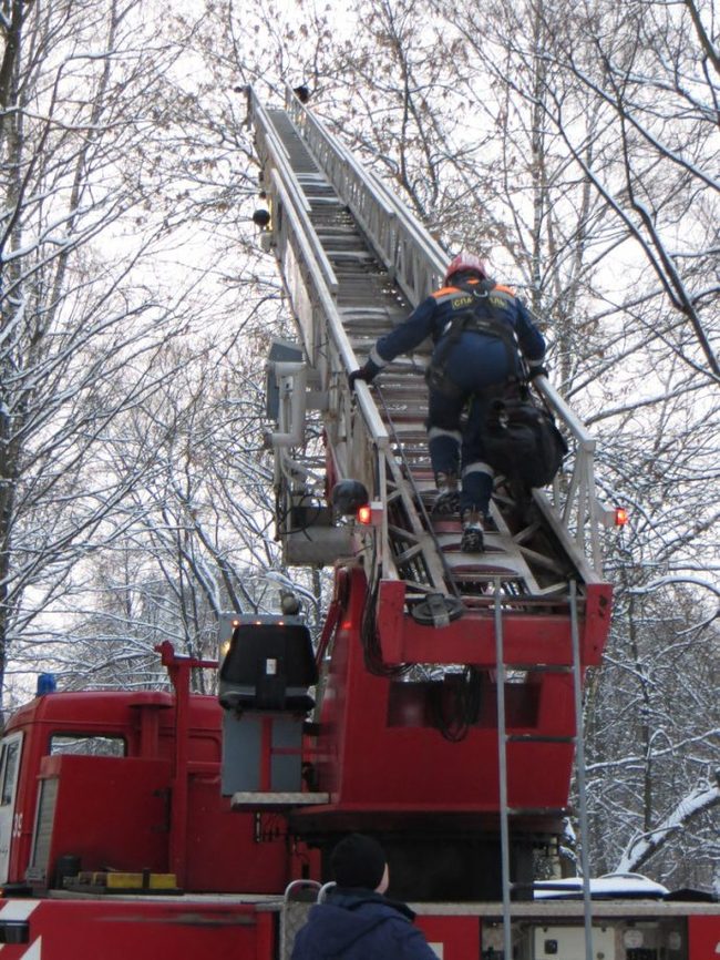 “In the meantime, it was covered with snow…” The cat-dart-climber deceived the girl-alpinist and flew away on an unscheduled flight! - Volunteering, cat, Ministry of Emergency Situations, The rescue, Longpost