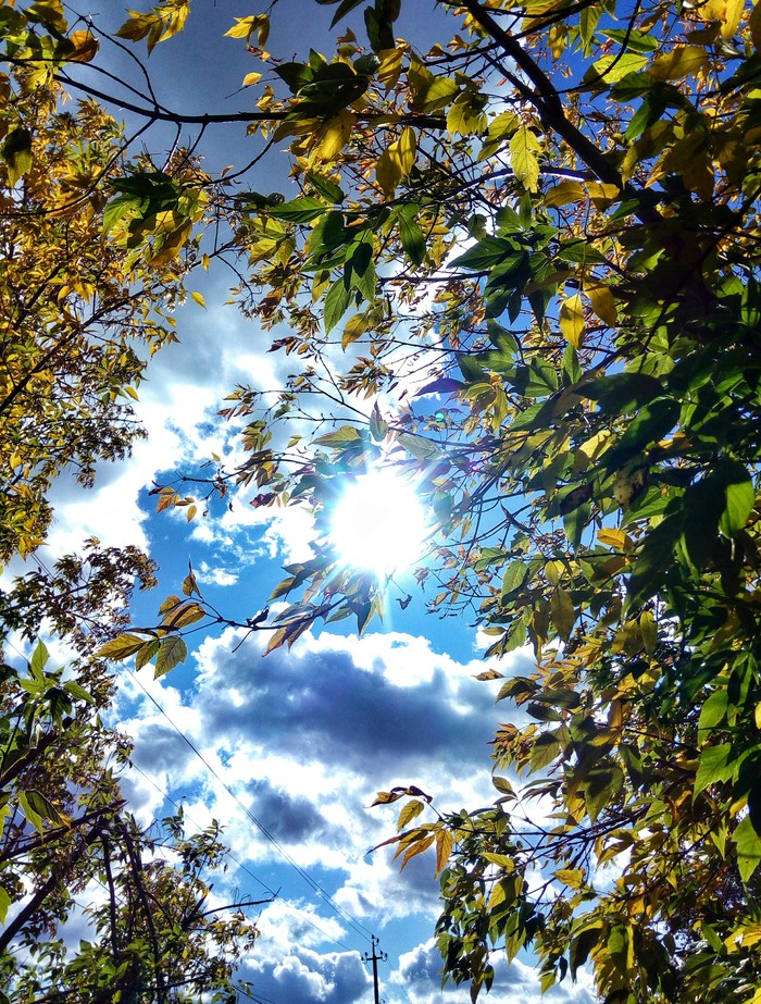 Солнца в ленту