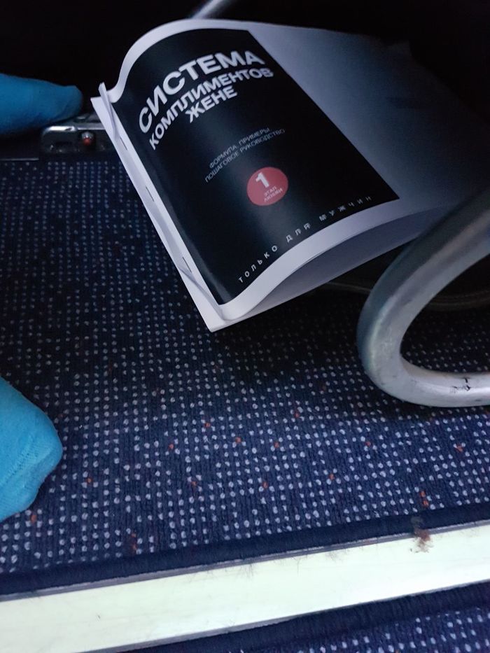 Reading on the plane - My, Reading, Airplane, Fellow travelers