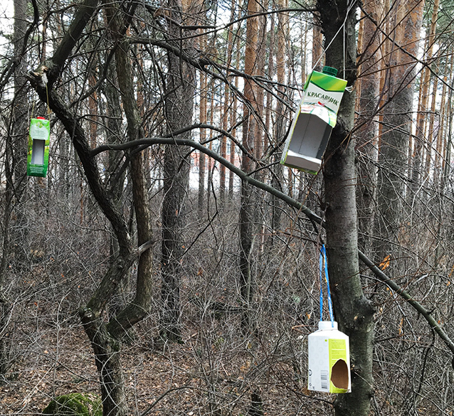 Land of empty feeders - Children, Psychology, Birds, Winter, Trough, Safety, Katerina Murashova, Longpost