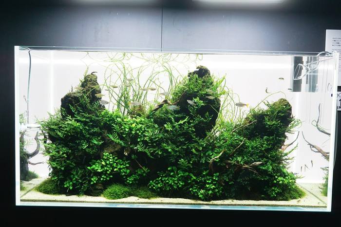 Фото с выставки в Японии