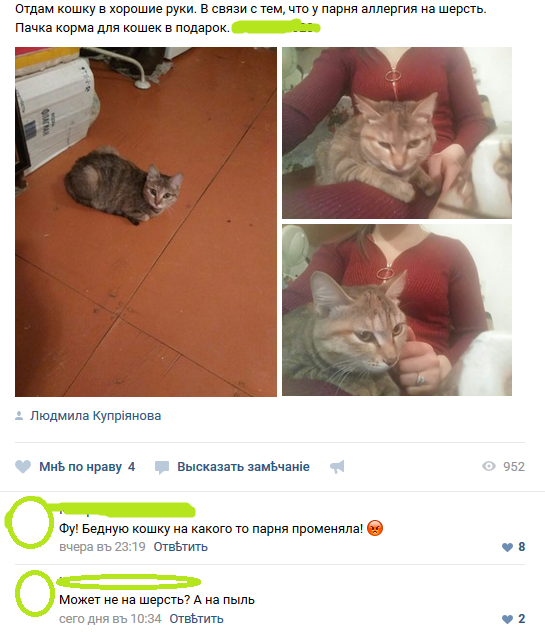  ,  ,   ? , , 