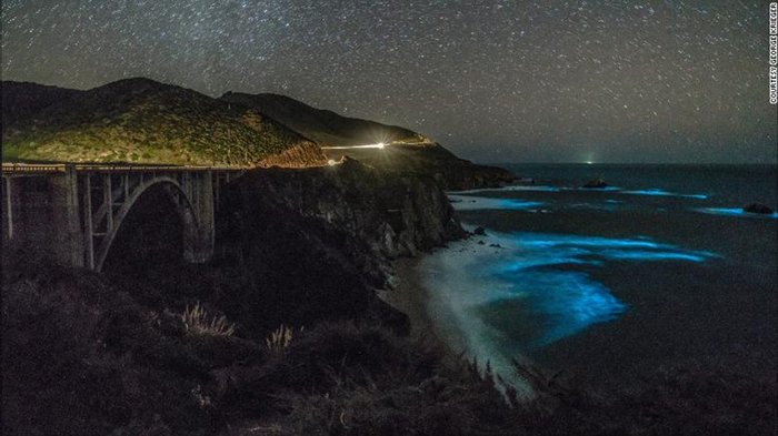 Shining waves off the coast of California. - California, Plankton
