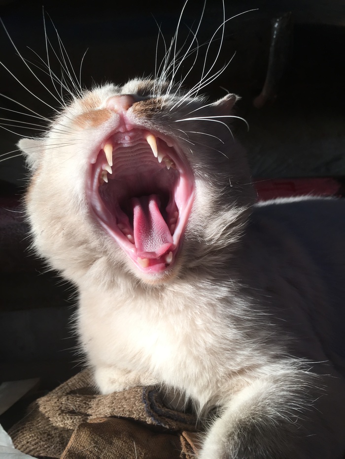 Когда ну очень хочешь спать.