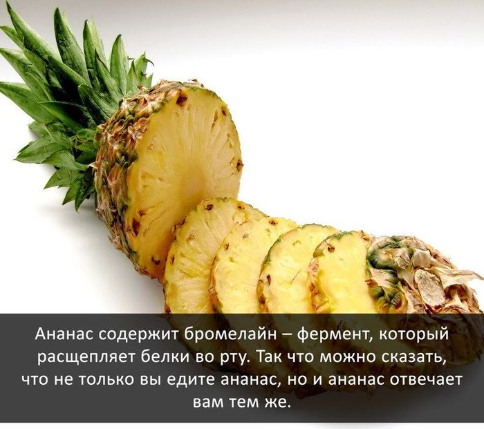 About pineapple - A pineapple, Fruit, , Food, Tropics
