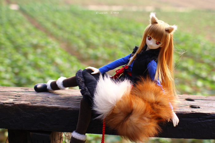  Horo/Holo Anime Art, , Spice and Wolf, Horo, Holo,  , , 