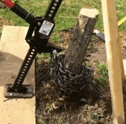 Uprooting small trees with a jack - Uprooting, Jack, Tree, Stump, Roots, GIF