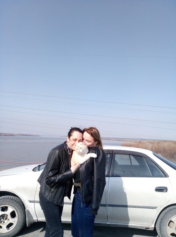 «Как же так?» добавлю свою видимость