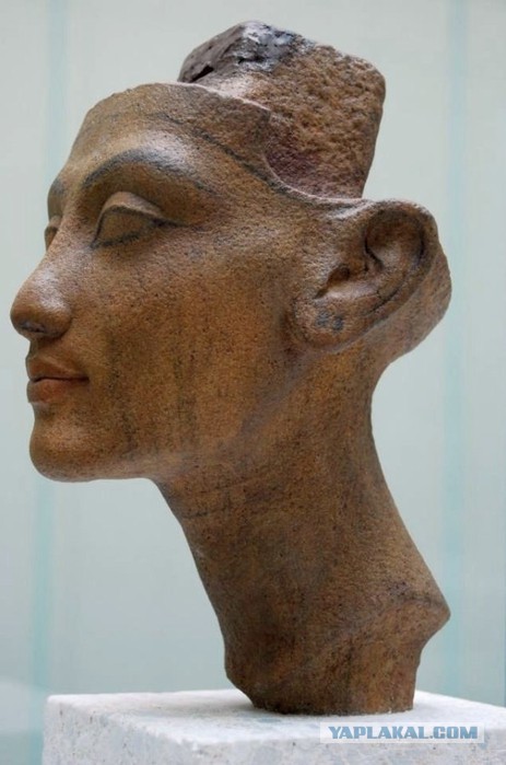 New reconstruction of Nefertiti - Nefertiti, Ancient Egypt, Story, Reconstruction, Copy-paste, Video, Longpost