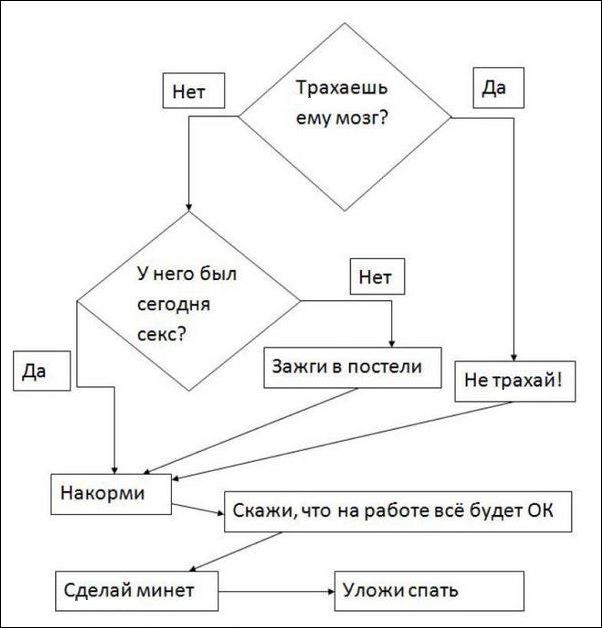 Quick Guide - Female, The male, Scheme, Rules, Women, Men