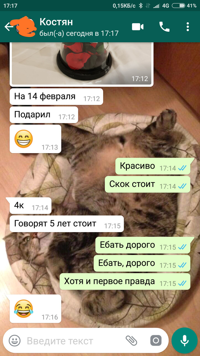  WhatsApp, , 14  -   , 