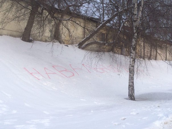 Snowdrift from the opposition - Life hack, Alexey Navalny, Penza, Laziness, Longpost