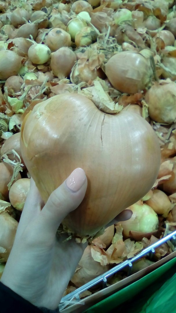 Don't know what to give your significant other for Valentine's Day? - My, Valentine's Day, Valentine, Onion, Tears, Vegetables, Love, Heart, Presents