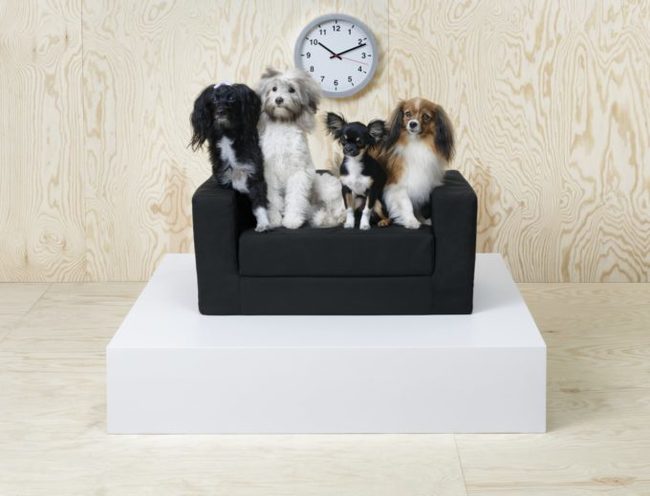 IKEA has released a collection of furniture for animals. - IKEA, cat house, Dog, Furniture, Video, Longpost