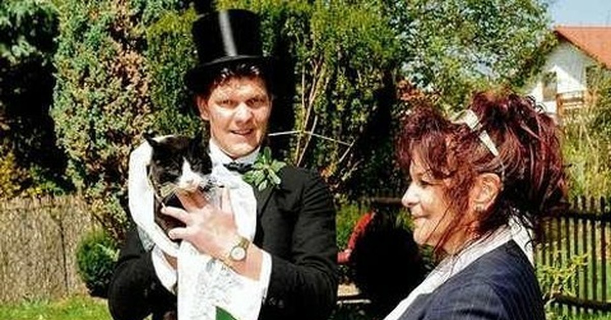 Кошки выходят замуж. Браки с животными. Люди которые поженились на животных. Брак с питомцами. Германия брак с животными.