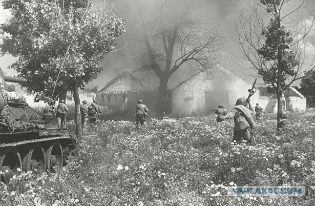 Summer 1941 through the eyes of the enemy - the USSR, The Great Patriotic War, 1941, Military history, Politics, Longpost