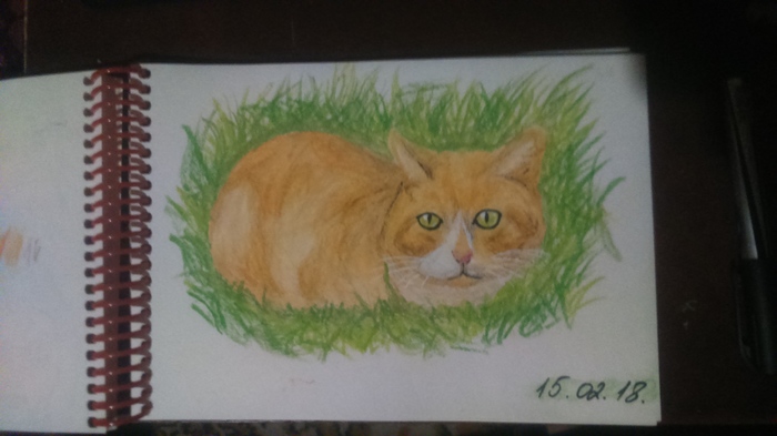 cat in the grass - Drawing, My, cat, Oil pastel