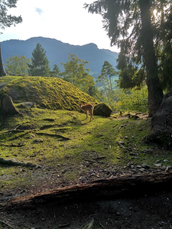 �����, ���� ������, ���������.