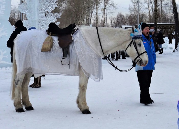Когда устала как лошадь