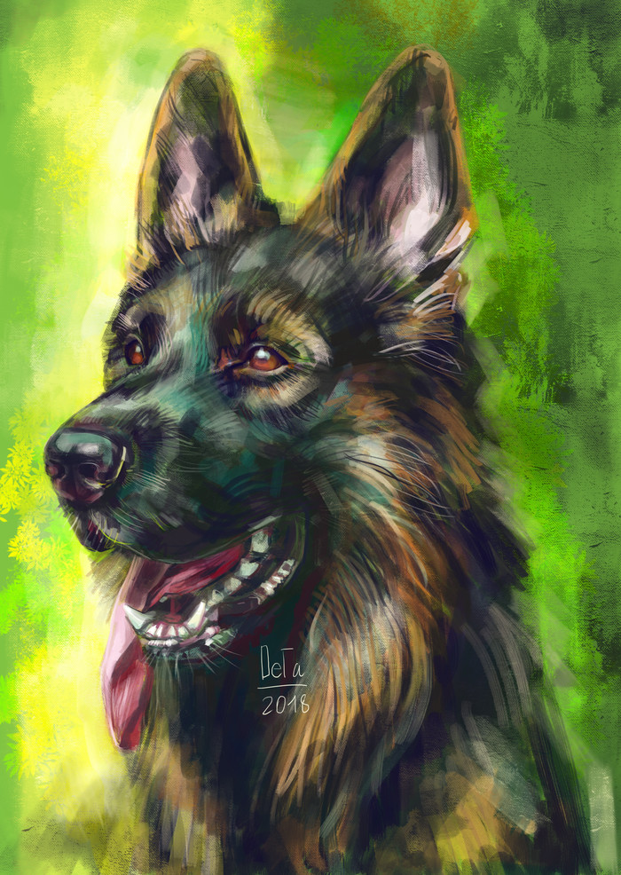 German Shepherd - My, German Shepherd, Drawing, Photoshop, Dog, Longpost